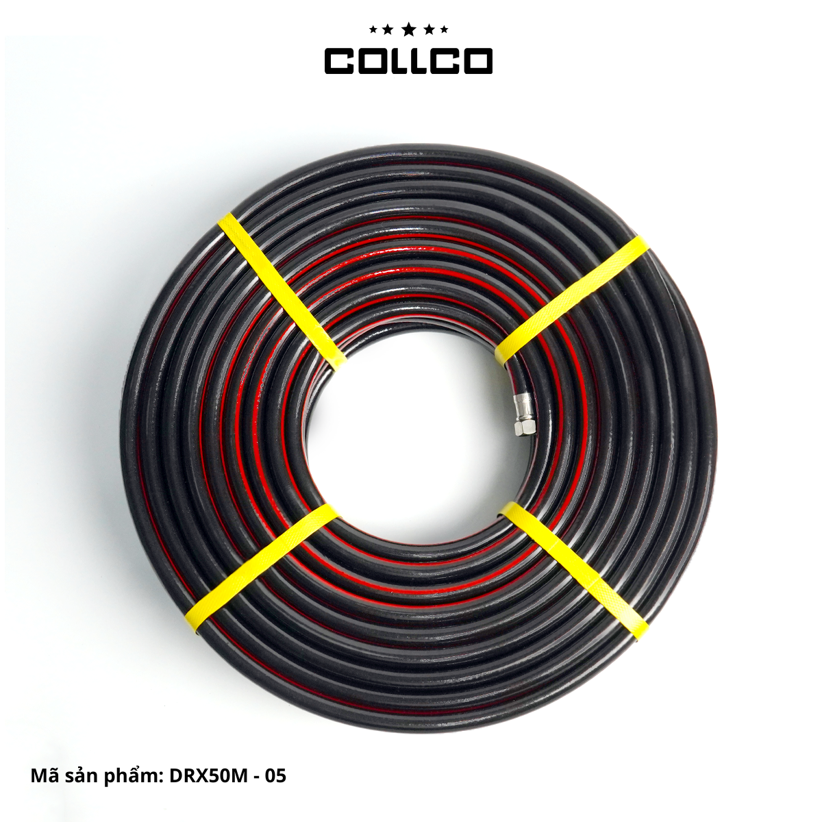 DYRAXECOLLCOCUN50M 1