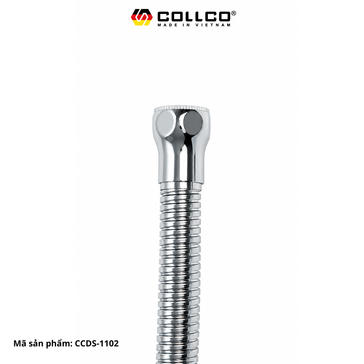 DYSENCOLLCOCCDS1102 1