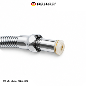 DYSENCOLLCOCCDS1102 7